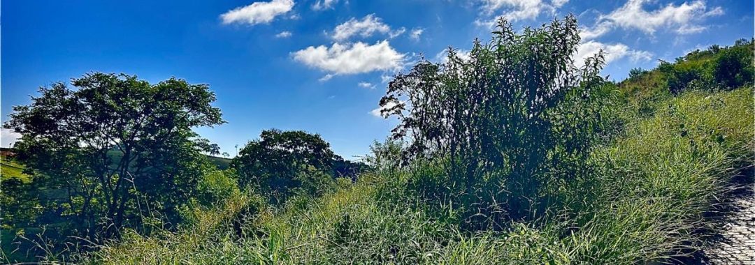 refugio-da-peroba-terreno-rural-serra-da-mantiqueira (1)