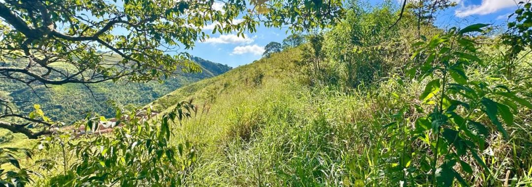 refugio-da-peroba-terreno-rural-serra-da-mantiqueira (5)