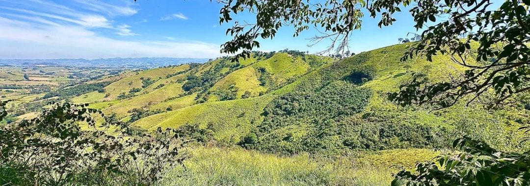 refugio-da-peroba-terreno-rural-serra-da-mantiqueira (6)