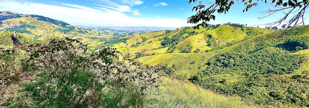 refugio-da-peroba-terreno-rural-serra-da-mantiqueira (7)