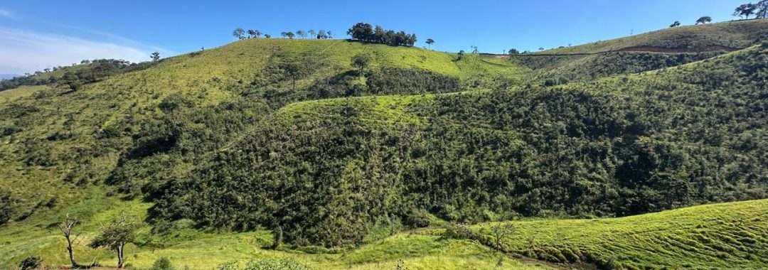 refugio-do-cambui-terreno-de-21-200m² (2)