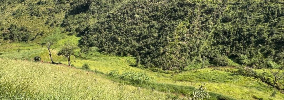 refugio-do-cambui-terreno-de-21-200m² (4)