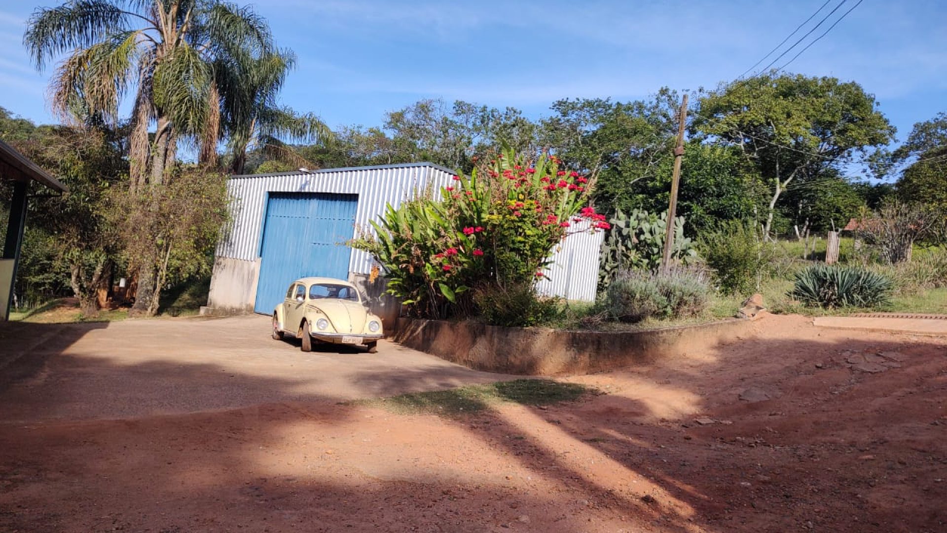 sitio-a-venda-em-cambui-mg-7-alqueires (13)