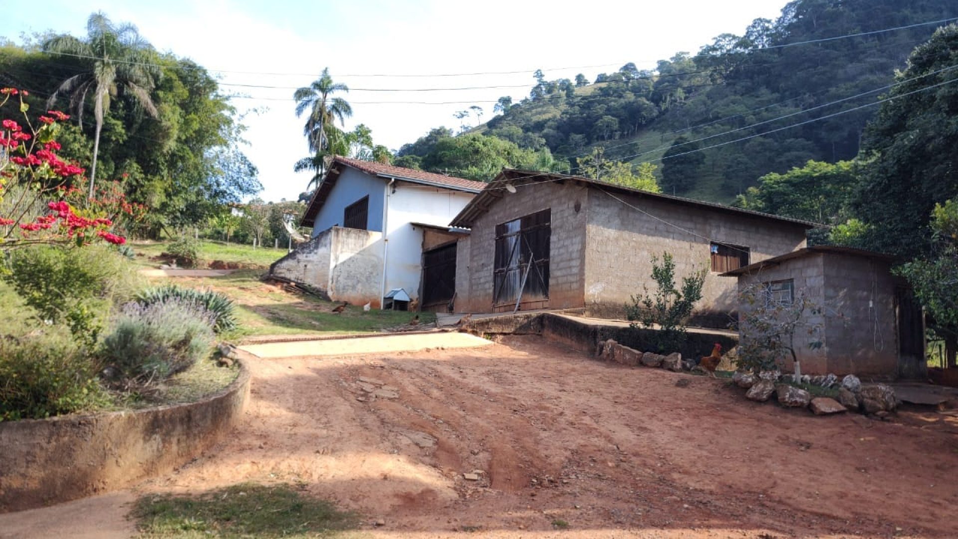 sitio-a-venda-em-cambui-mg-7-alqueires (15)