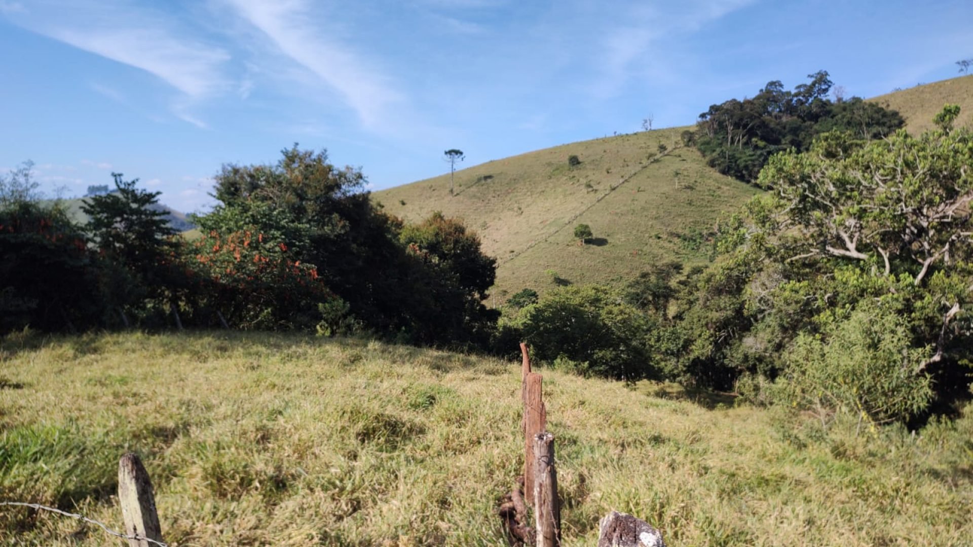 sitio-a-venda-em-cambui-mg-7-alqueires (2)