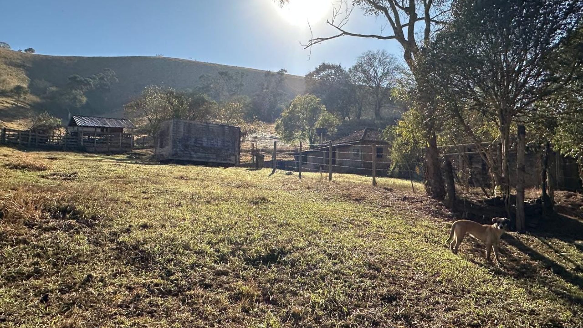 sitio-com-40-000m²-em-cambui-mg-com-casa-simples-de-roca-e-area-de-pastagem (1)