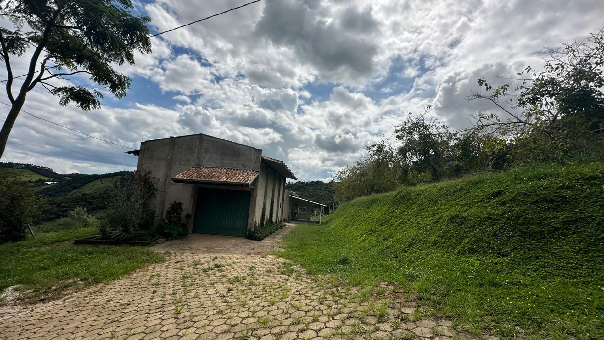 sitio com oliveiras a venda na serra da mantiqueira no sul de minas, azeite a venda, sitio a venda no sul de minas, olival a venda, silva corretor de imóveis (1)