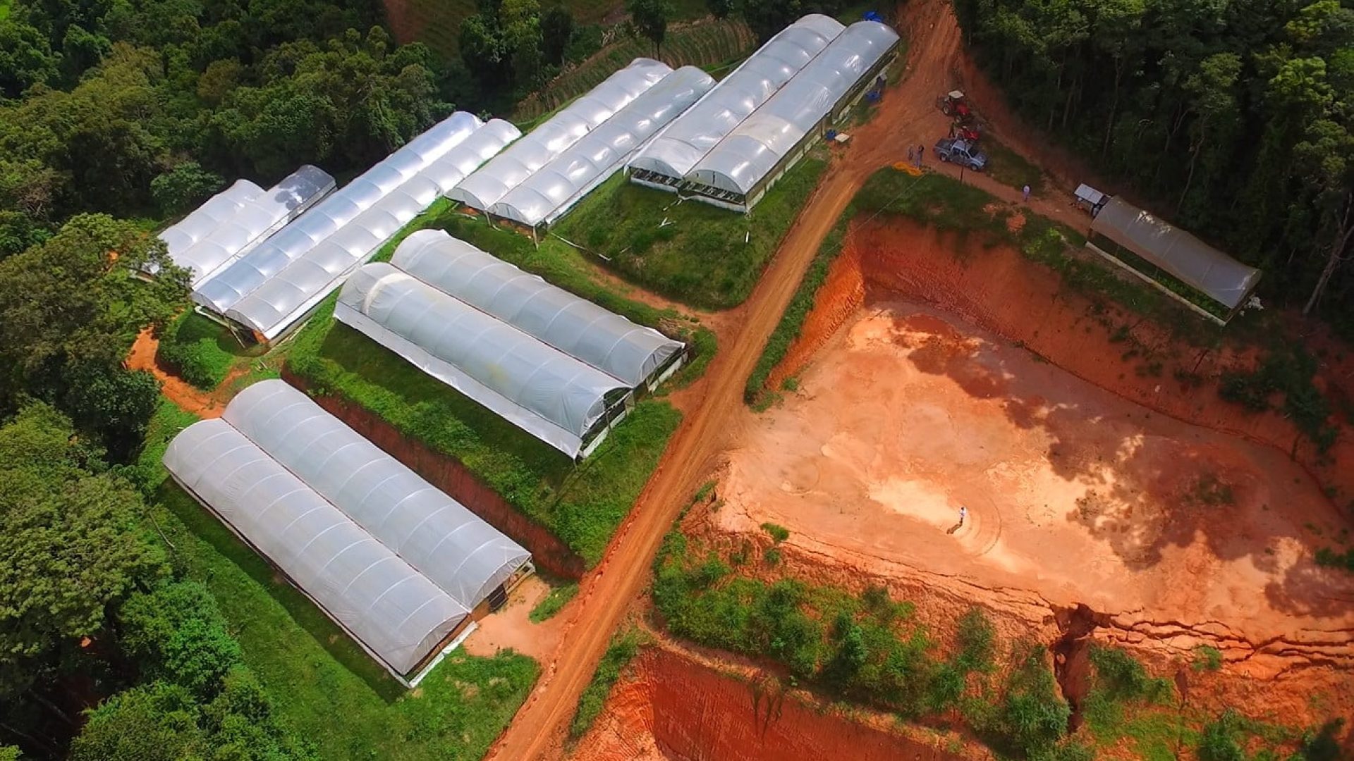 sitio com oliveiras a venda na serra da mantiqueira no sul de minas, azeite a venda, sitio a venda no sul de minas, olival a venda, silva corretor de imóveis (2)