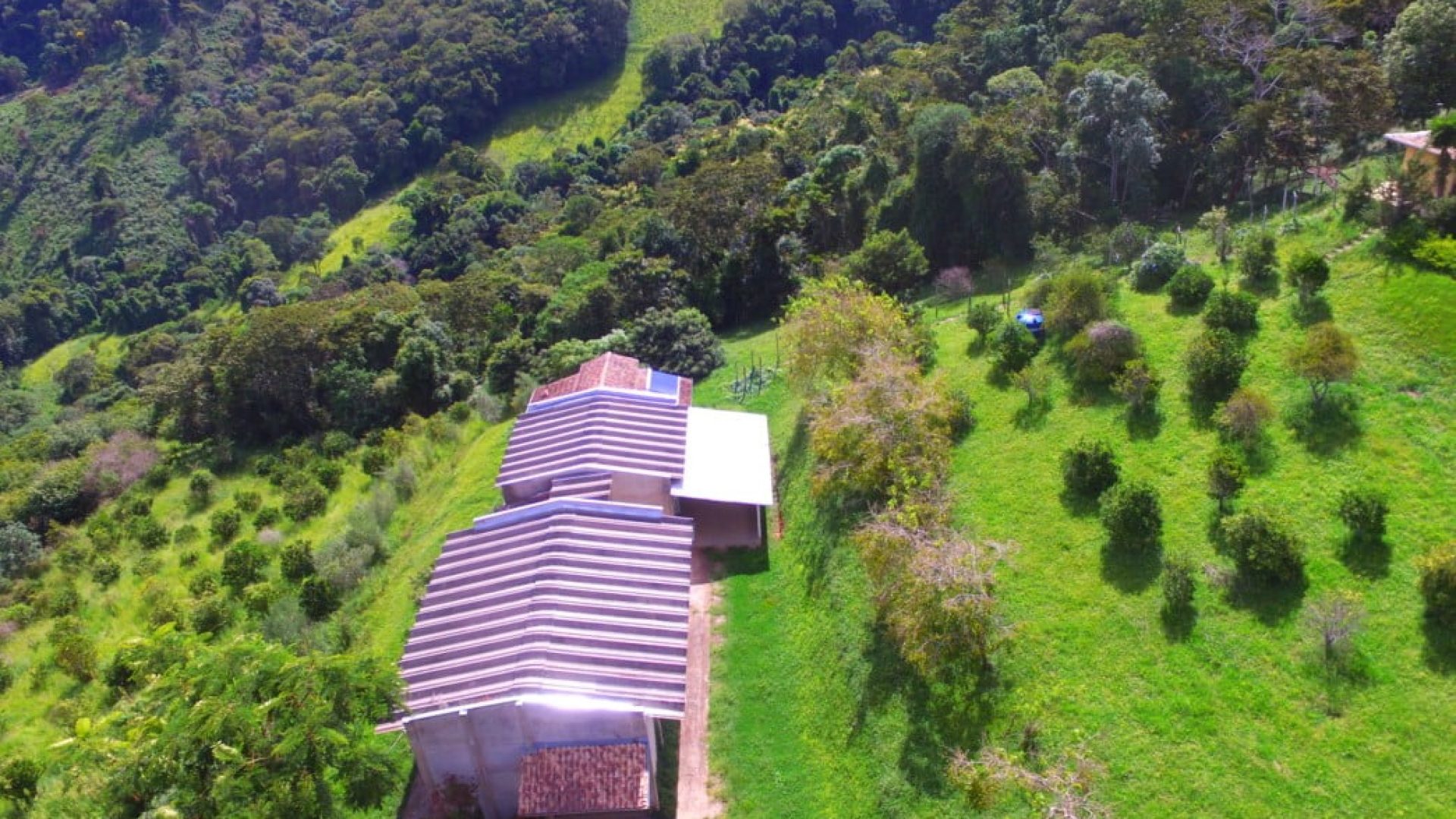 sitio com oliveiras a venda na serra da mantiqueira no sul de minas, azeite a venda, sitio a venda no sul de minas, olival a venda, silva corretor de imóveis (20)