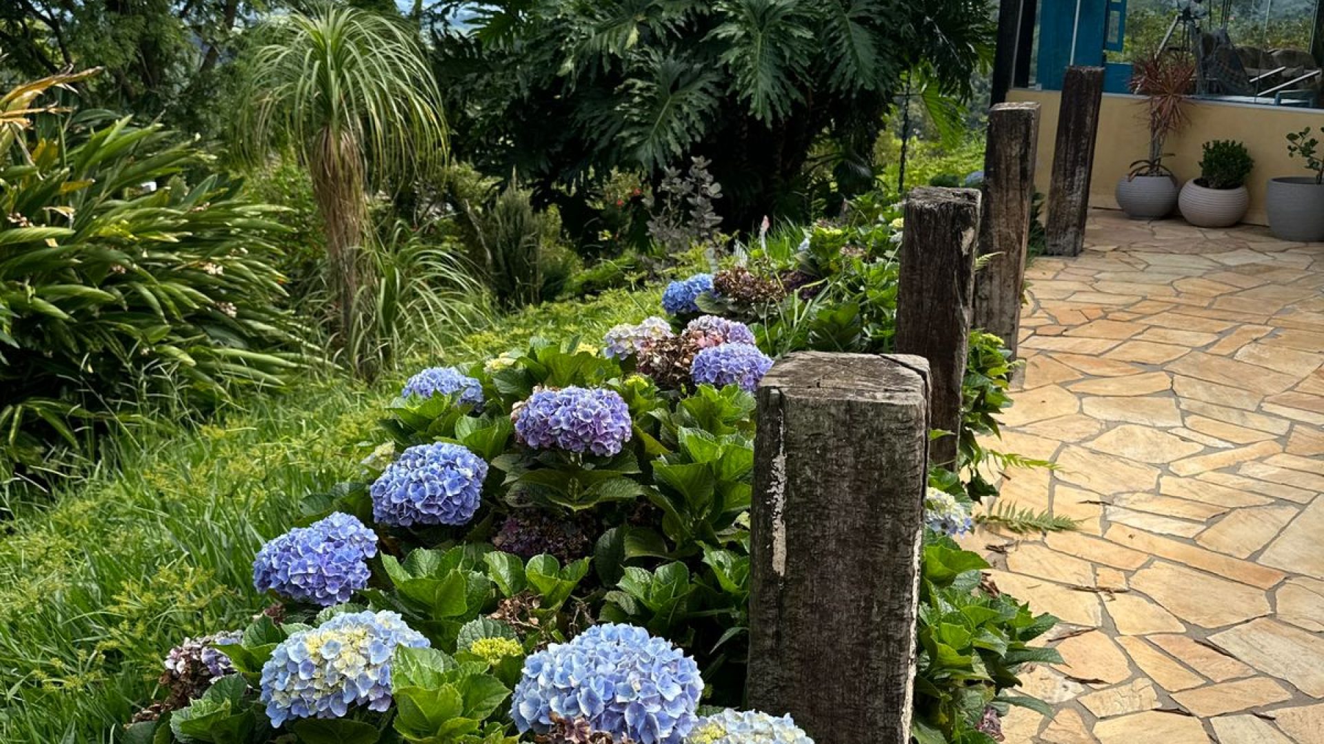 sitio com oliveiras a venda na serra da mantiqueira no sul de minas, azeite a venda, sitio a venda no sul de minas, olival a venda, silva corretor de imóveis (37)