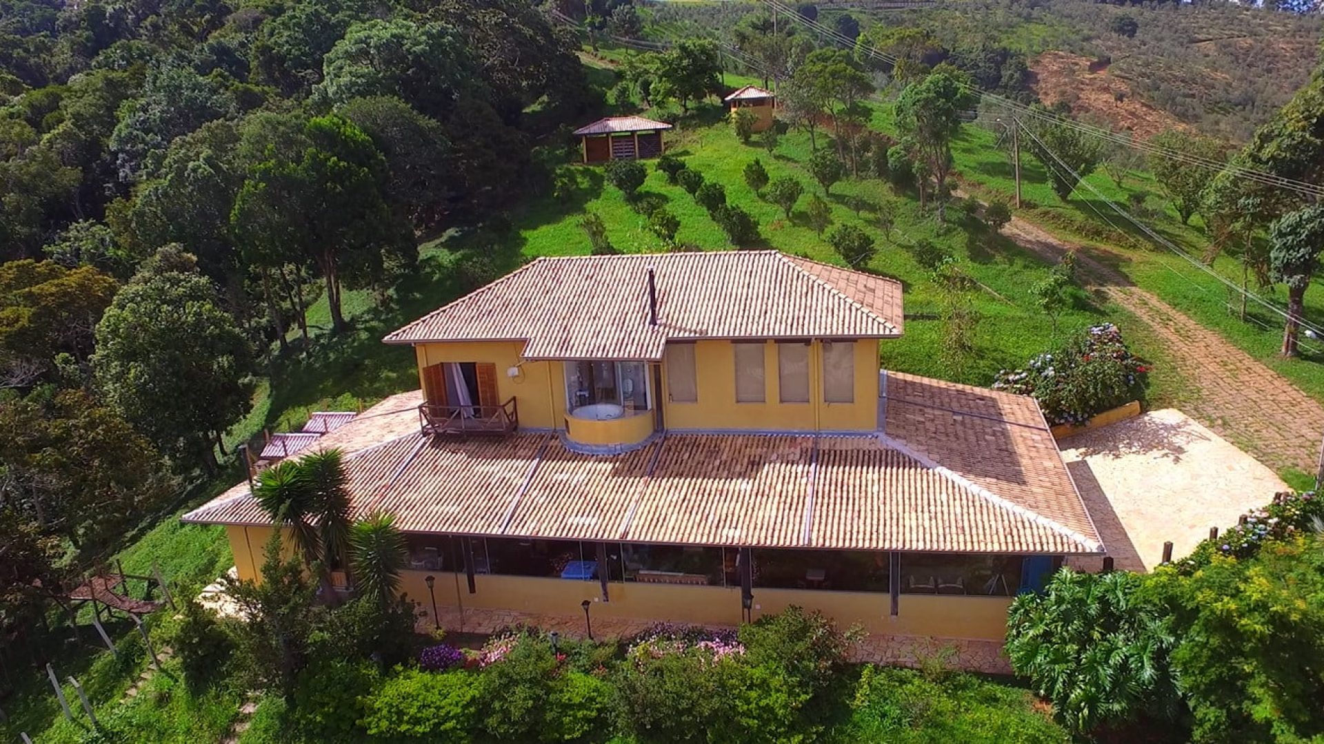 sitio com oliveiras a venda na serra da mantiqueira no sul de minas, azeite a venda, sitio a venda no sul de minas, olival a venda, silva corretor de imóveis (4)