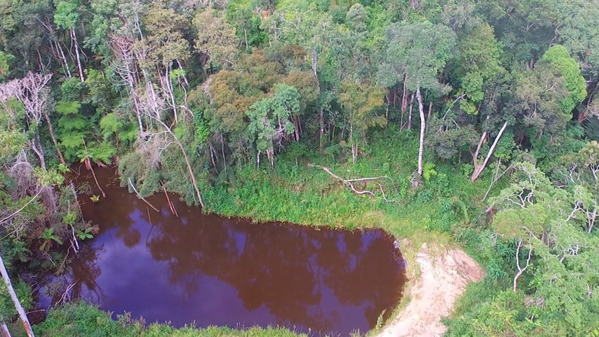 sitio com oliveiras a venda na serra da mantiqueira no sul de minas, azeite a venda, sitio a venda no sul de minas, olival a venda, silva corretor de imóveis (5)