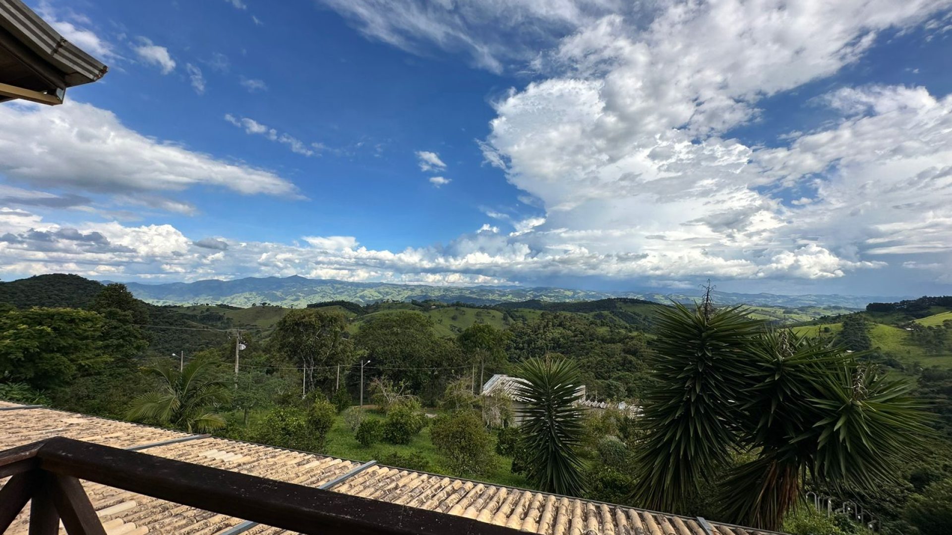 sitio com oliveiras a venda na serra da mantiqueira no sul de minas, azeite a venda, sitio a venda no sul de minas, olival a venda, silva corretor de imóveis (51)