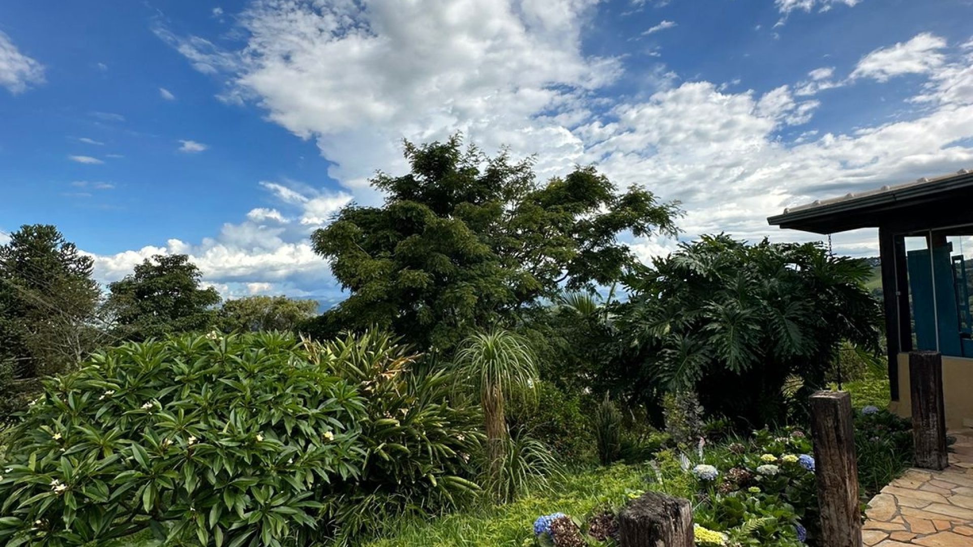 sitio com oliveiras a venda na serra da mantiqueira no sul de minas, azeite a venda, sitio a venda no sul de minas, olival a venda, silva corretor de imóveis (57)