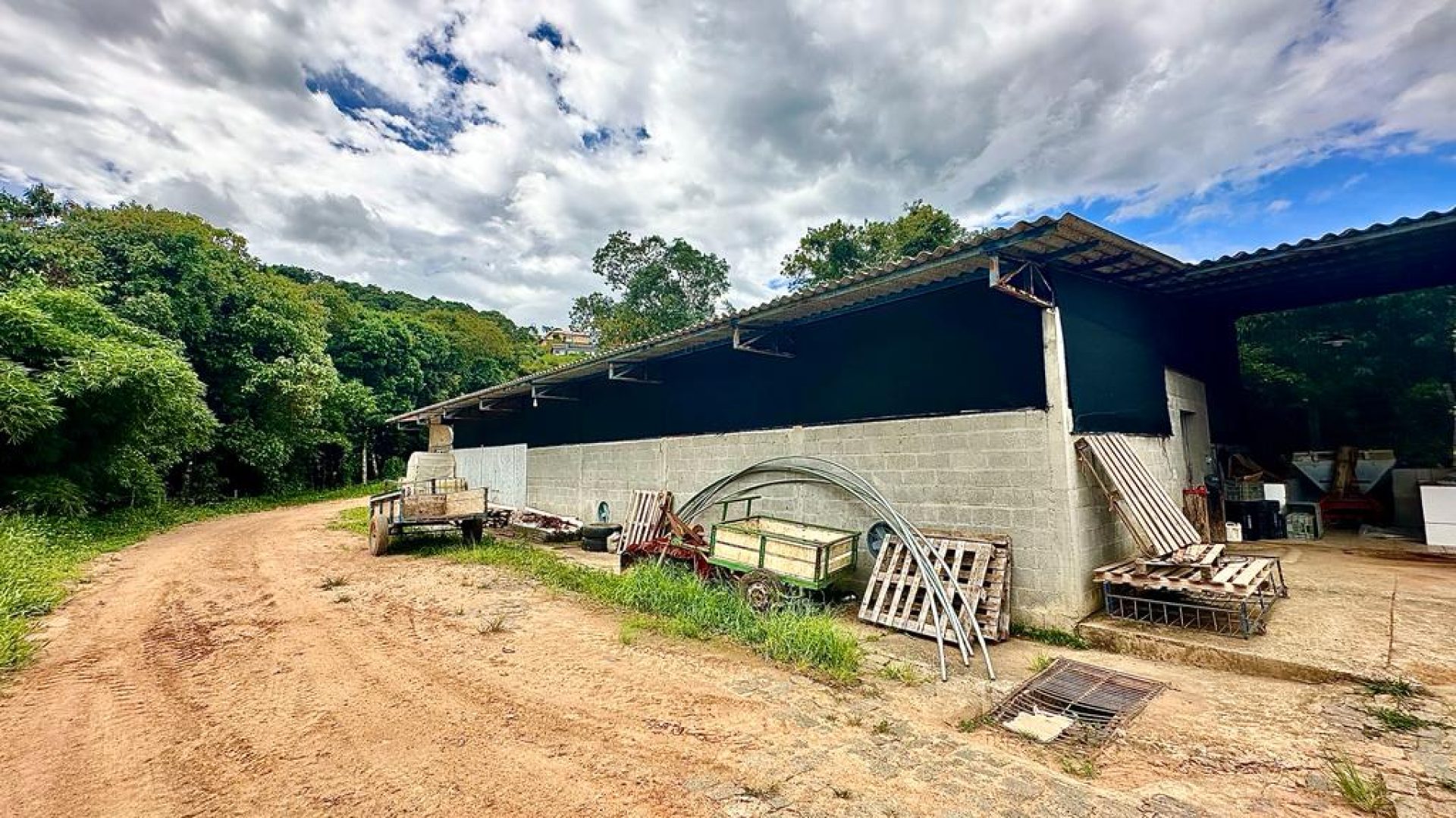 sitio com oliveiras a venda na serra da mantiqueira no sul de minas, azeite a venda, sitio a venda no sul de minas, olival a venda, silva corretor de imóveis (9)