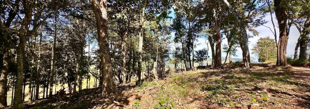 sitio-da-fe-terreno-rural-27-880-m² (1) - Copia