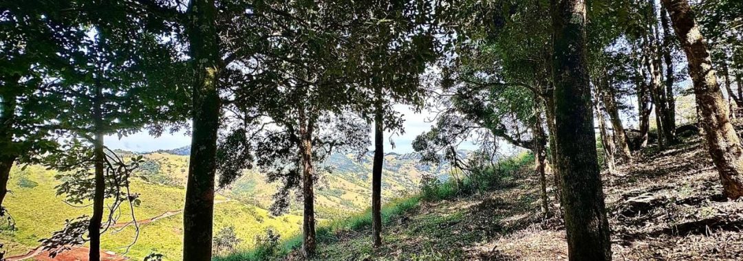 sitio-da-fe-terreno-rural-27-880-m² (10)