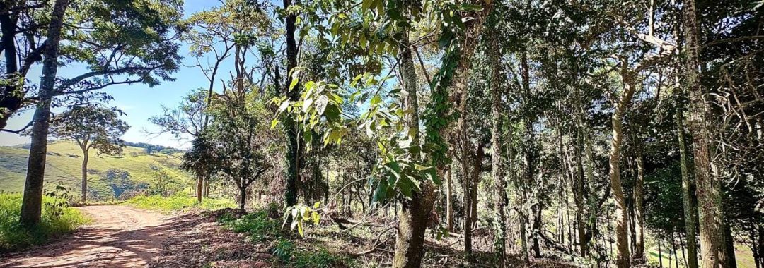 sitio-da-fe-terreno-rural-27-880-m² (3)