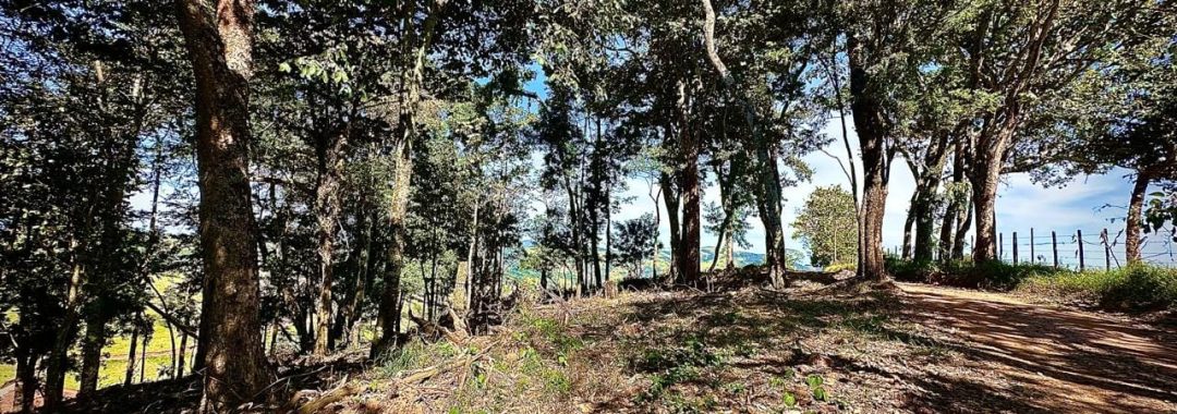 sitio-da-fe-terreno-rural-27-880-m² (4)