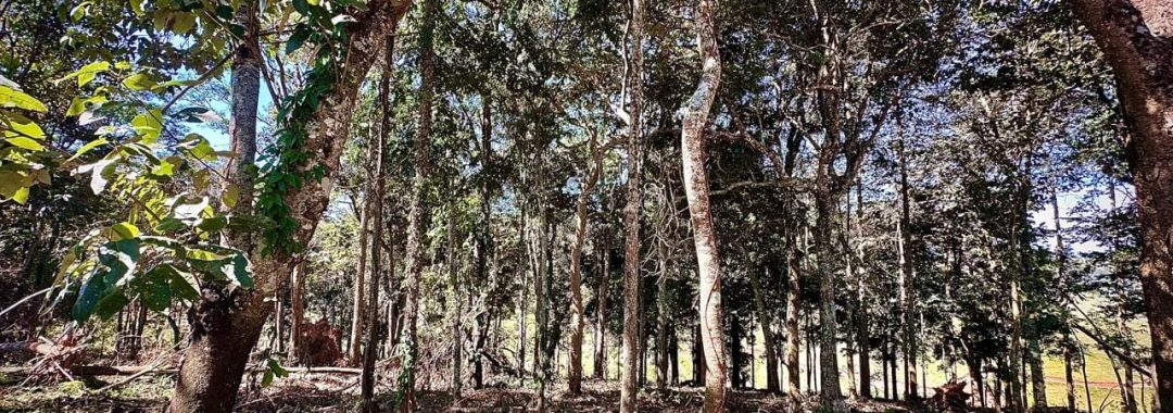 sitio-da-fe-terreno-rural-27-880-m² (5)