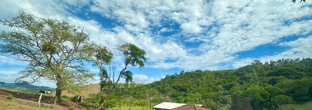sitio-de-10-alqueires-a-venda-na-regiao-da-cidade-de-cambui-com-excelente-topografia-e-acesso (1)