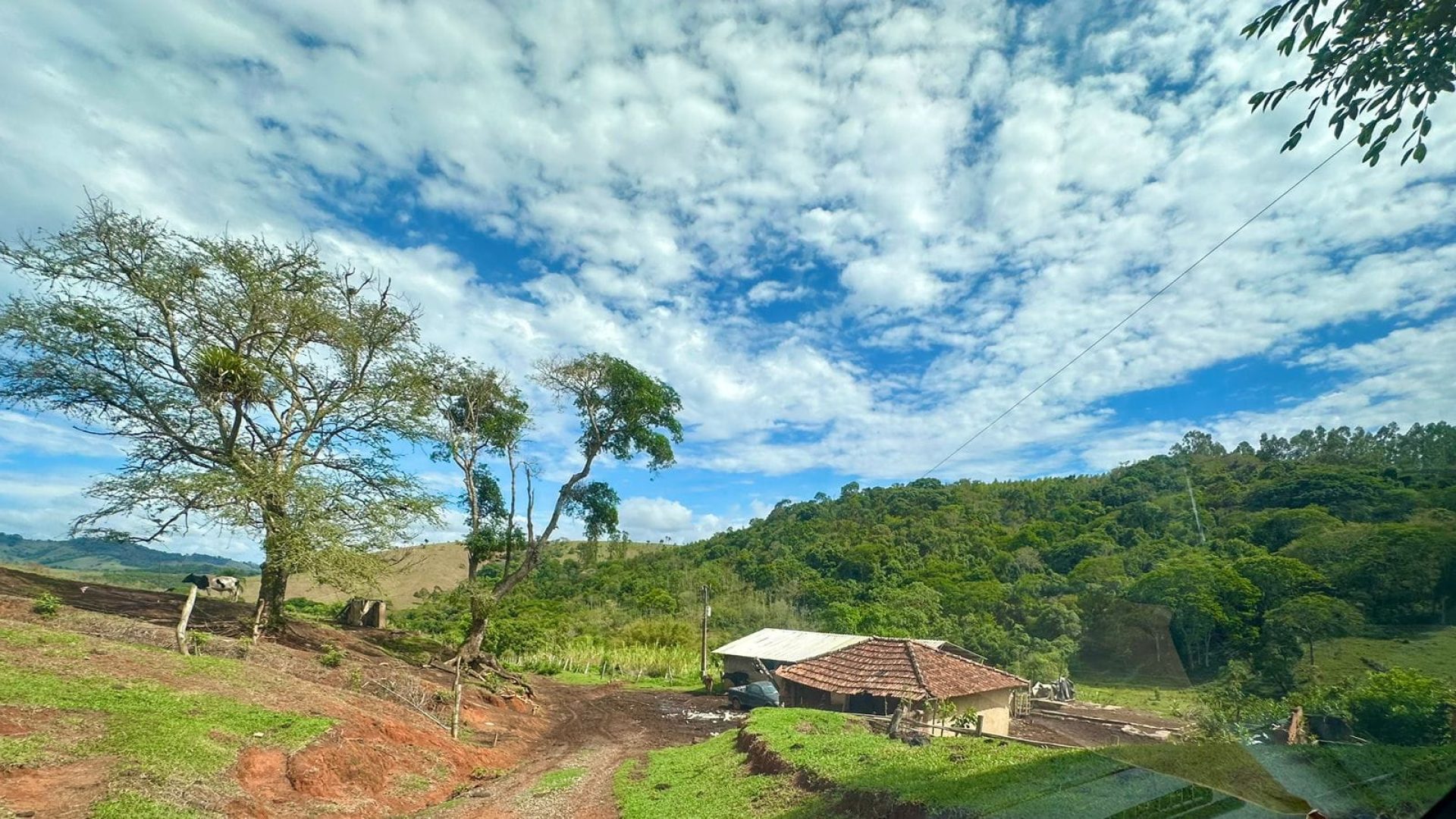 sitio-de-10-alqueires-a-venda-na-regiao-da-cidade-de-cambui-com-excelente-topografia-e-acesso (1)