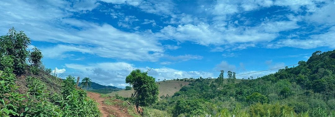 sitio-de-10-alqueires-a-venda-na-regiao-da-cidade-de-cambui-com-excelente-topografia-e-acesso (10)