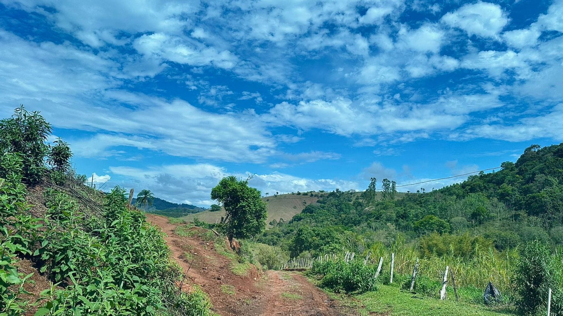 sitio-de-10-alqueires-a-venda-na-regiao-da-cidade-de-cambui-com-excelente-topografia-e-acesso (10)