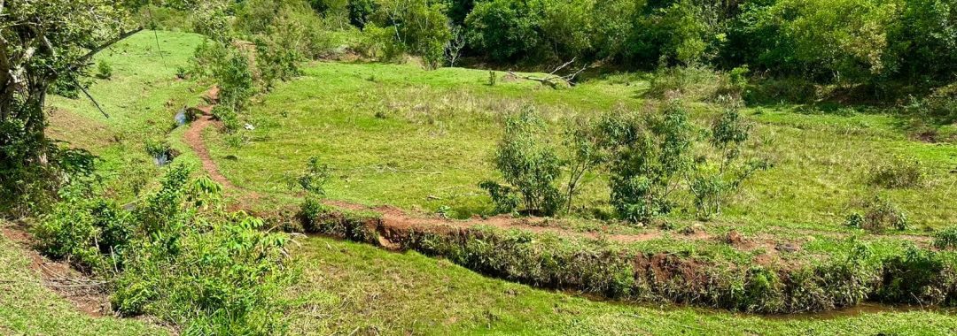 sitio-de-10-alqueires-a-venda-na-regiao-da-cidade-de-cambui-com-excelente-topografia-e-acesso (11)