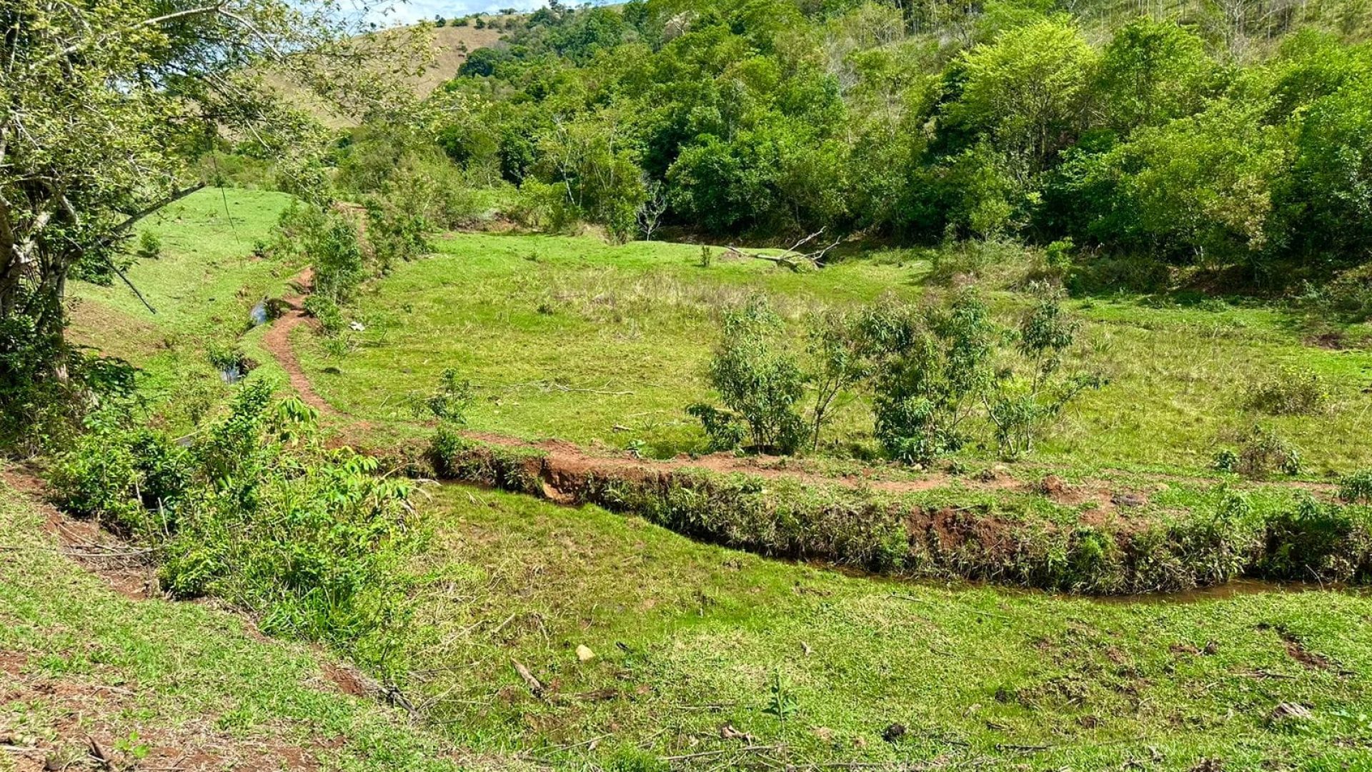 sitio-de-10-alqueires-a-venda-na-regiao-da-cidade-de-cambui-com-excelente-topografia-e-acesso (11)