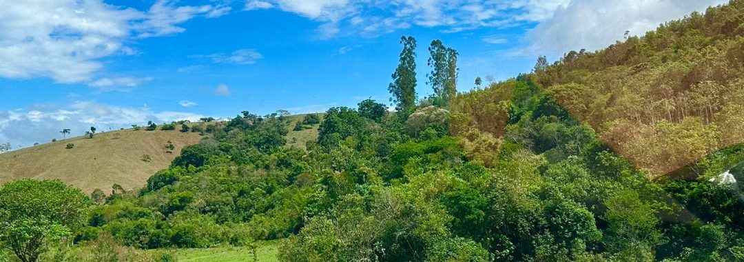 sitio-de-10-alqueires-a-venda-na-regiao-da-cidade-de-cambui-com-excelente-topografia-e-acesso (2)