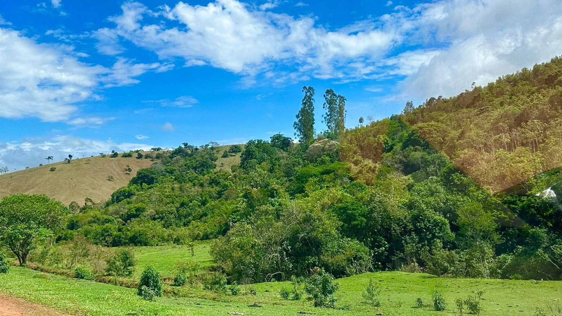 sitio-de-10-alqueires-a-venda-na-regiao-da-cidade-de-cambui-com-excelente-topografia-e-acesso (2)