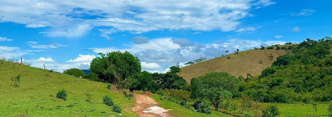 sitio-de-10-alqueires-a-venda-na-regiao-da-cidade-de-cambui-com-excelente-topografia-e-acesso (3)