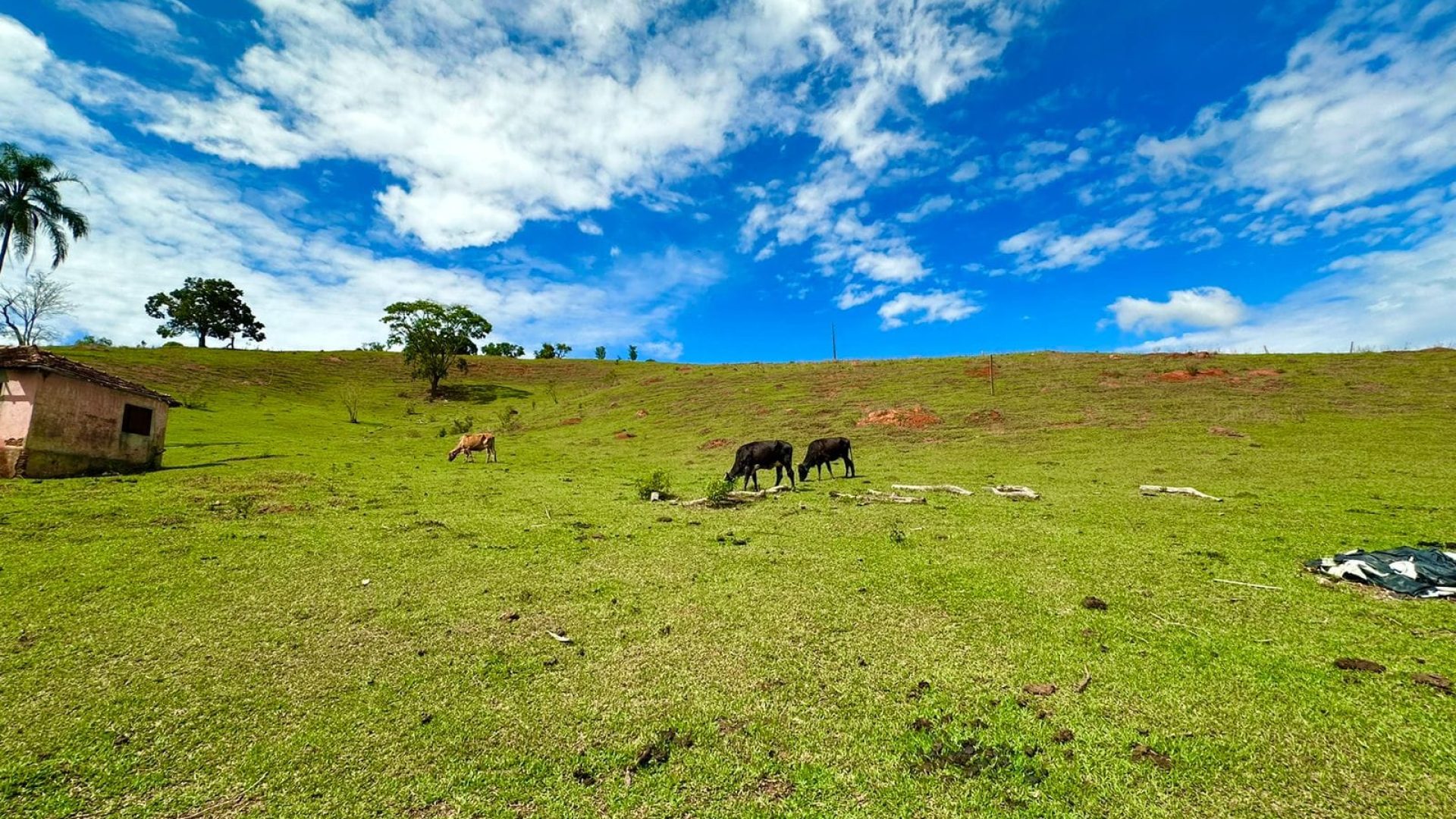 sitio-de-10-alqueires-a-venda-na-regiao-da-cidade-de-cambui-com-excelente-topografia-e-acesso (4)