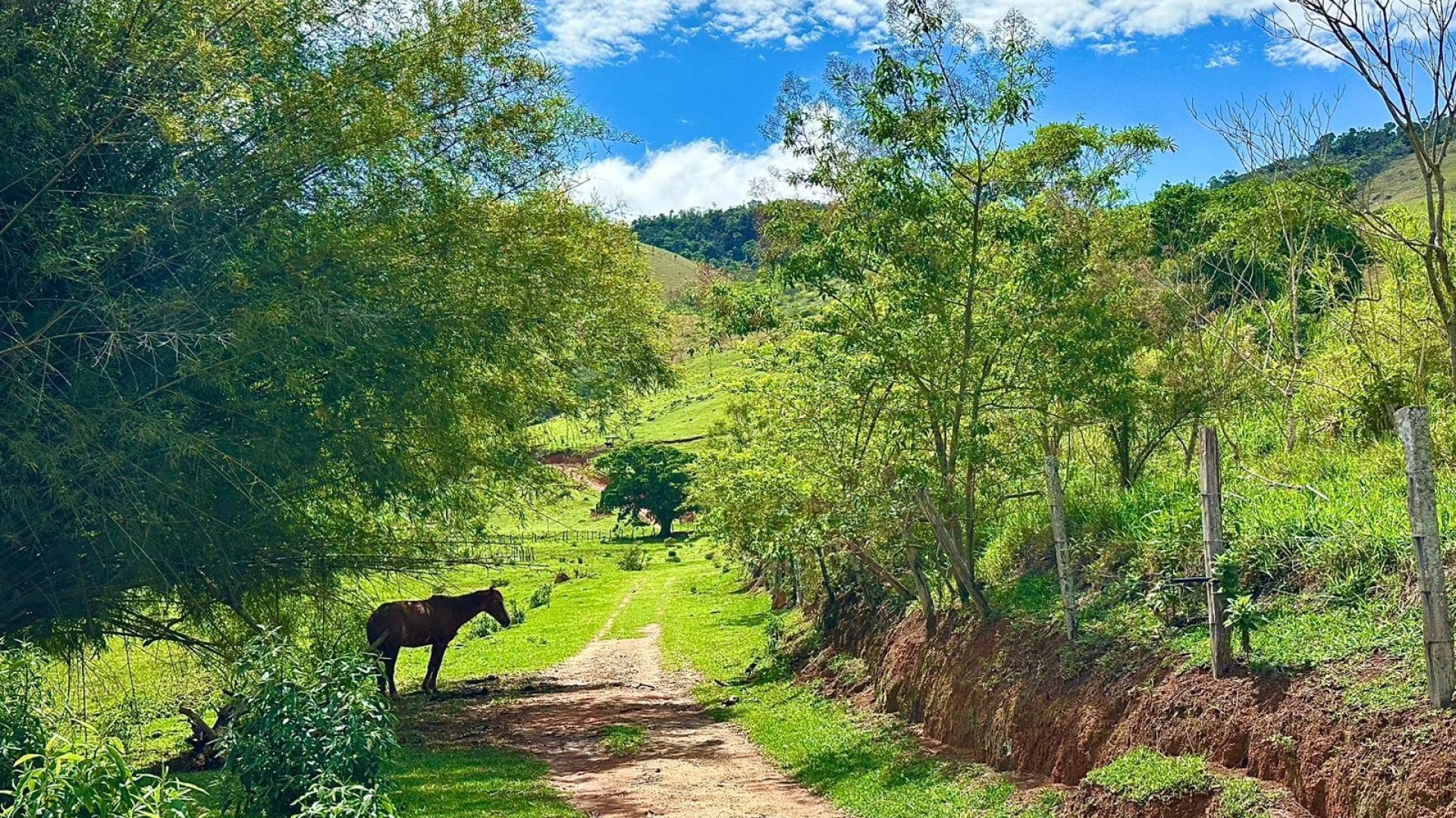 sitio-de-10-alqueires-a-venda-na-regiao-da-cidade-de-cambui-com-excelente-topografia-e-acesso (5)