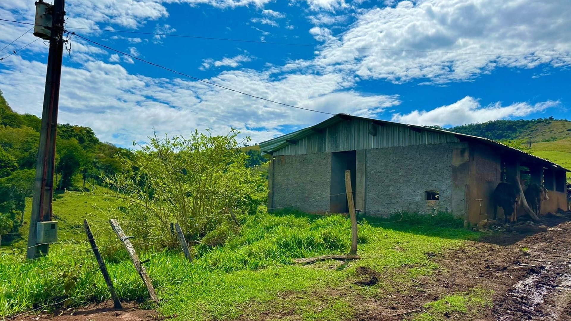 sitio-de-10-alqueires-a-venda-na-regiao-da-cidade-de-cambui-com-excelente-topografia-e-acesso (9)