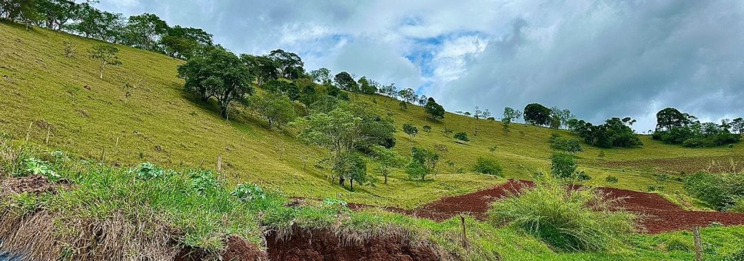 sitio-de-10-alqueires-no-sul-de-mg-com-casa-simples-riacho-e-area-verde-a-2h-de-sao-paulo (1)