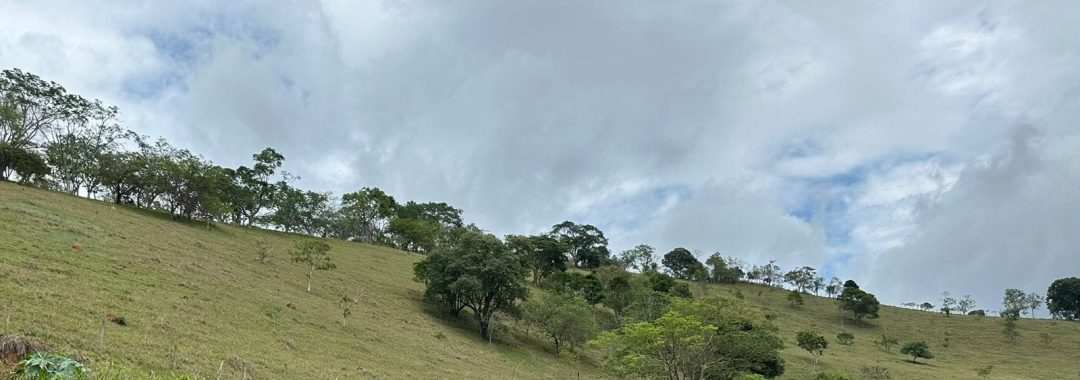 sitio-de-10-alqueires-no-sul-de-mg-com-casa-simples-riacho-e-area-verde-a-2h-de-sao-paulo (11)