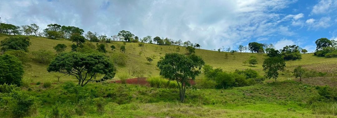sitio-de-10-alqueires-no-sul-de-mg-com-casa-simples-riacho-e-area-verde-a-2h-de-sao-paulo (4)
