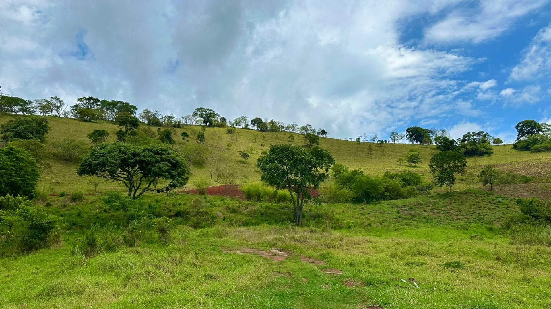 sitio-de-10-alqueires-no-sul-de-mg-com-casa-simples-riacho-e-area-verde-a-2h-de-sao-paulo (4)