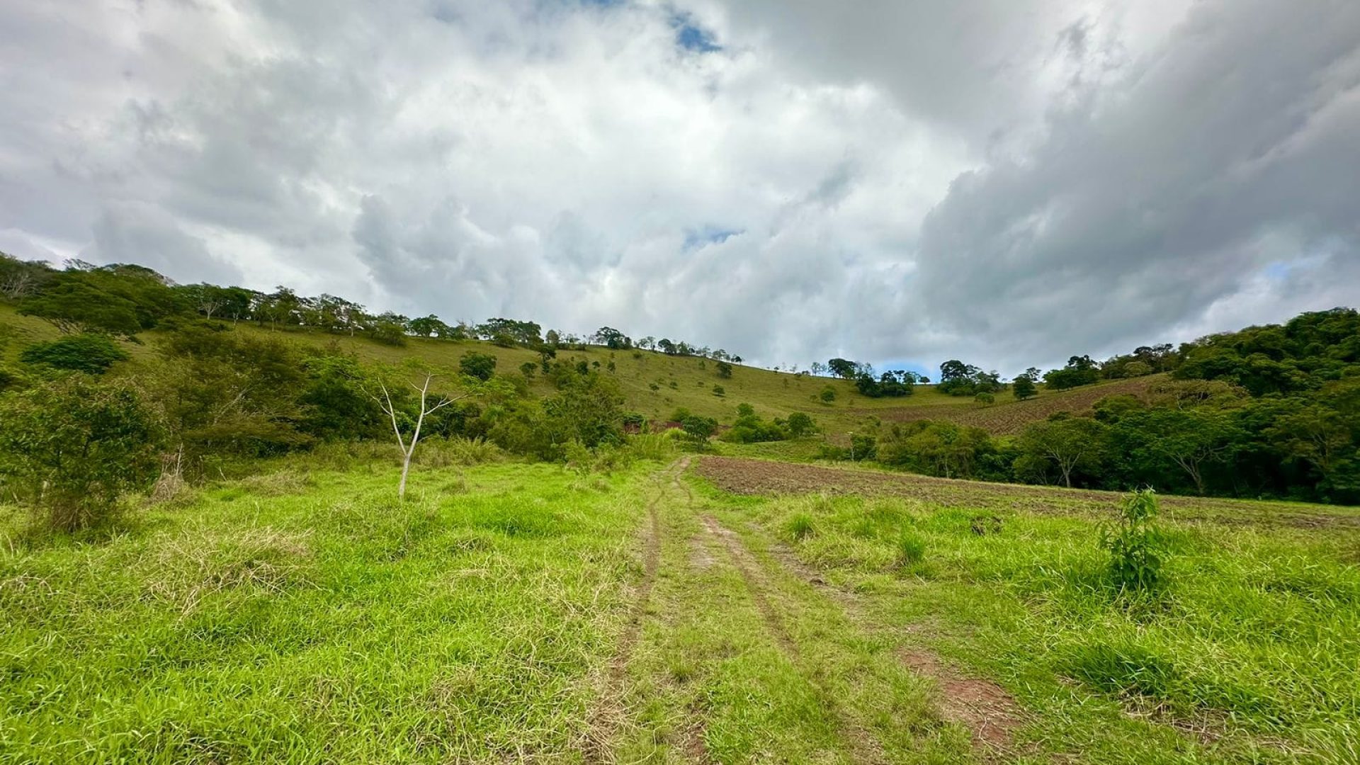 sitio-de-10-alqueires-no-sul-de-mg-com-casa-simples-riacho-e-area-verde-a-2h-de-sao-paulo (5)