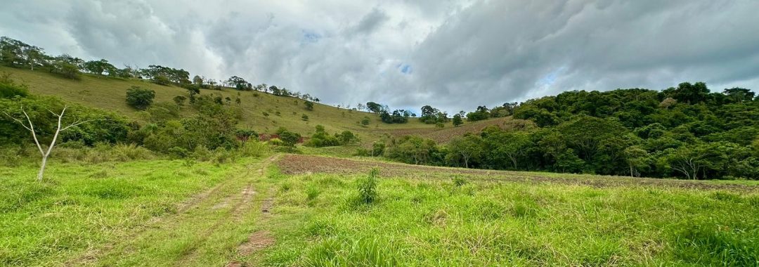 sitio-de-10-alqueires-no-sul-de-mg-com-casa-simples-riacho-e-area-verde-a-2h-de-sao-paulo (7)