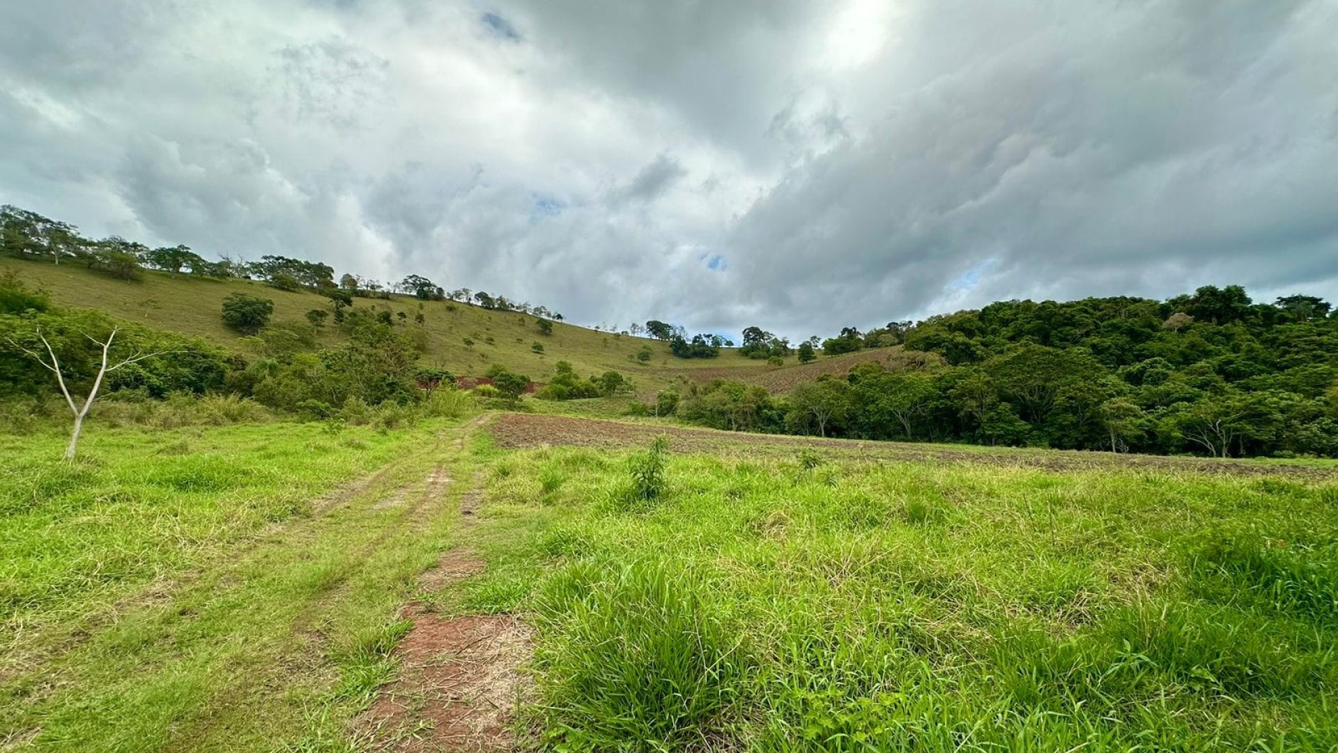 sitio-de-10-alqueires-no-sul-de-mg-com-casa-simples-riacho-e-area-verde-a-2h-de-sao-paulo (7)