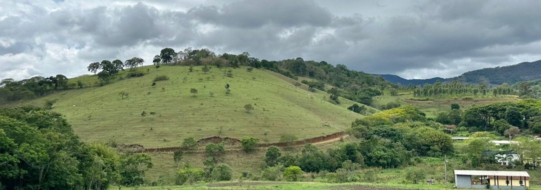 sitio-de-10-alqueires-no-sul-de-mg-com-casa-simples-riacho-e-area-verde-a-2h-de-sao-paulo (9)