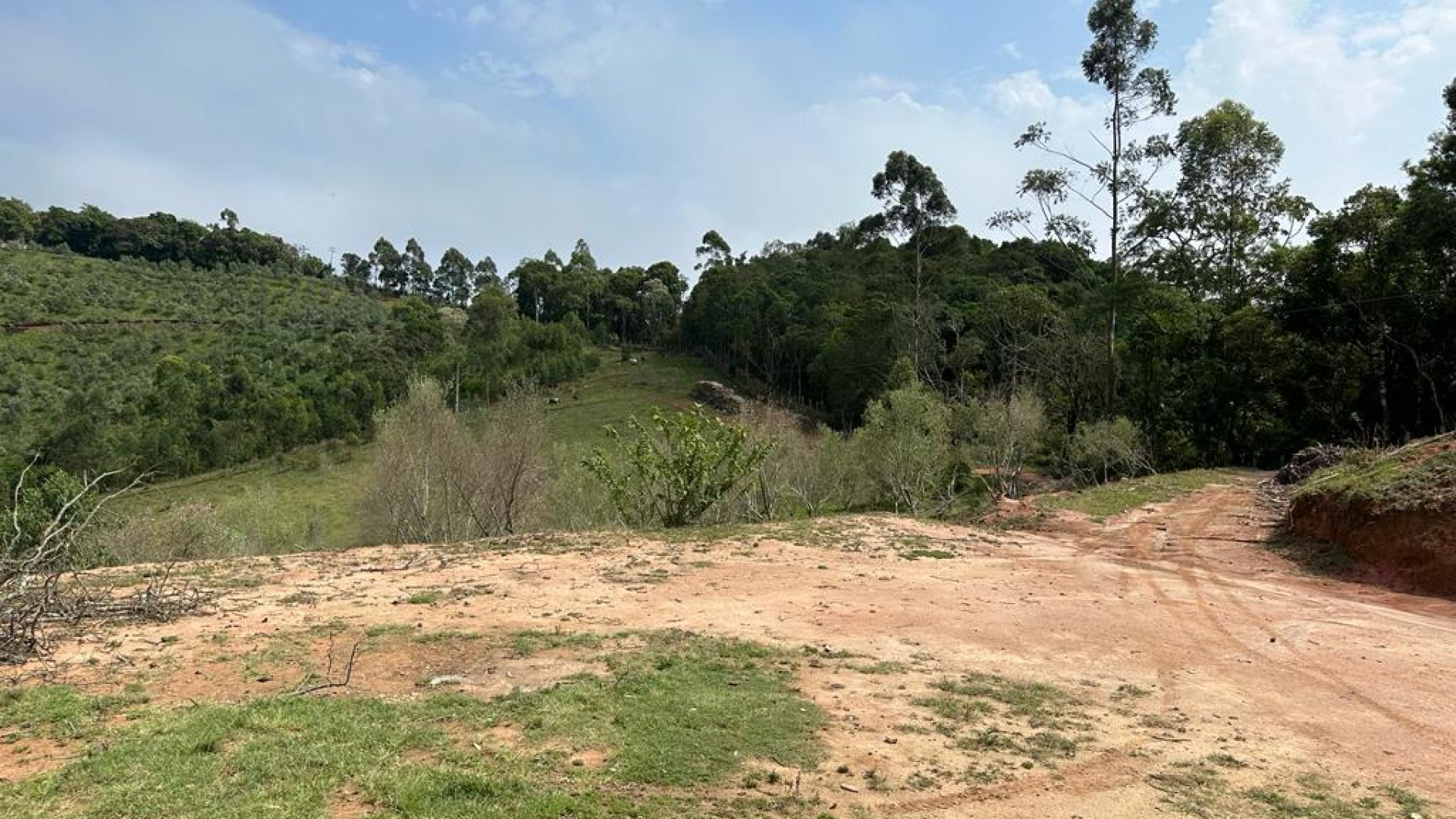 sitio-de-190-000m²-com-maravilhosa-vista-panoramica-para-serra-da-mantiqueira-em-cambui-mg (31)