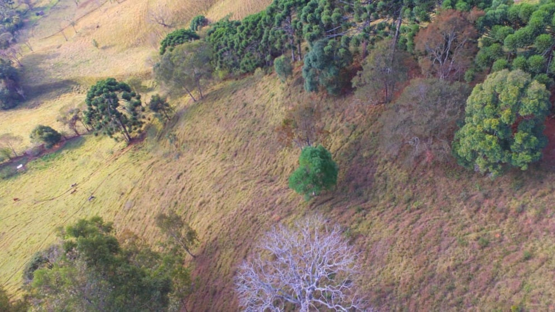 terreno-de-20-000-m²-a-1-550m-de-altitude-com-vista-panoramica-ideal-para-chales-na-ser (3)