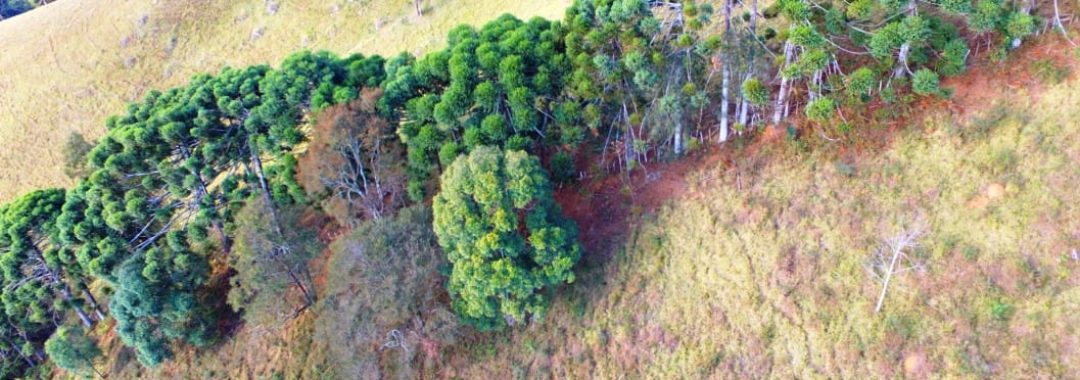 terreno-de-20-000-m²-a-1-550m-de-altitude-com-vista-panoramica-ideal-para-chales-na-ser (4)