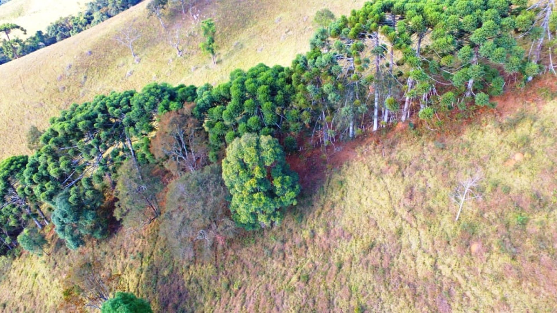 terreno-de-20-000-m²-a-1-550m-de-altitude-com-vista-panoramica-ideal-para-chales-na-ser (4)