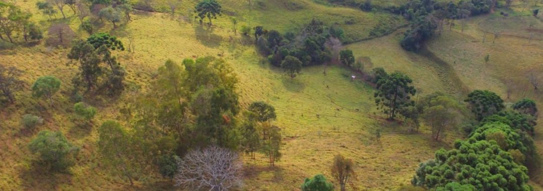 terreno-de-20-000-m²-a-1-550m-de-altitude-com-vista-panoramica-ideal-para-chales-na-ser (5)