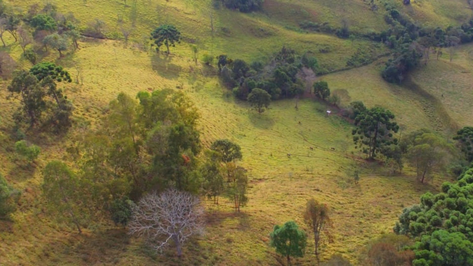terreno-de-20-000-m²-a-1-550m-de-altitude-com-vista-panoramica-ideal-para-chales-na-ser (5)